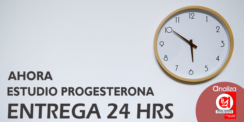 Mejorarnos las entregas para un mejor #servicio

Estudio de #Progesterona en 24 hrs 🛵

Conoce más de #Laboratorio #Veterinario #Analiza

💻Conócenos en: bit.ly/2ZVTUqA