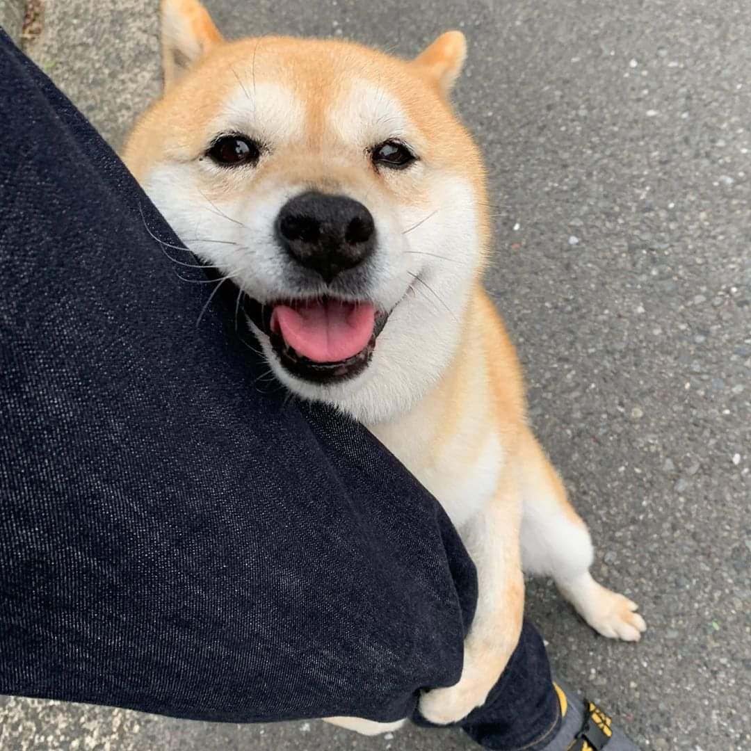 แงงงง น้อนนนนนนนนนนนนนน