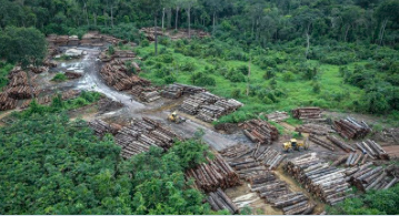 nicolasnicola22's tweet photo. @VanessaFiji @ChunhuaMs @Aussieneets @RussellMoxham @debbie_spirit @Ness4612R @samcoyi @DrBirute @coolrunning2009 @BlueSeas111 @RedFoxGIS @EmilyLe89720714 @orangutan2 @RedOrangutangen @ForestPeoplesP @ecobusinesscom @hrw @fwindonesia @asiasentinel @RainforestNORW @RAN @Greenpeace @AJENews @geckoproj @MensJournal @abcnews @asia @SAPIENS_org @FreeWestPapua @sarawak_report @guardian @crawfordjohnw @dwnews @PeterGreste @4JournoFreedom @UNHumanRights @KaldorCentre @elsamnews @dayakologi_inst @LinkARBorneo @TuK_Indonesia @OneHealthUCD @hans_nich @ConversationEDU @livekindlyco @AJEnglish @Sophie_MH_Chao @walhinasional Perhaps a template for indiscriminate #deforestation everywhere: For a deep dive into how #Brazil 's military has sidelined civilian #environmental authorities in the #Amazon M Hashizume @reporterb .(h/t @RainforestNORW ). #ennvironment #rainforest #auspol
https://t.co/iLOO2ANU4y https://t.co/nXs3mJdtum