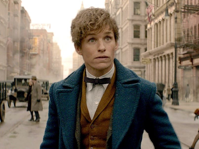 newt scamander - autistic pan and trans i love it for him this is all true it’s not a headcanon he told me himself