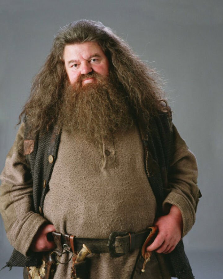 hagrid is straight but he luvs all the lgbt kids at school he goes to pride parades with them