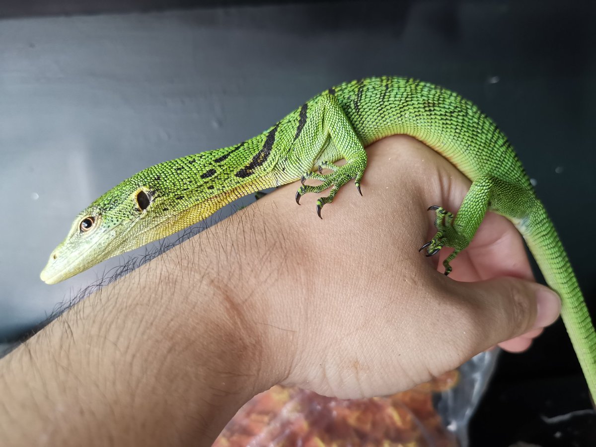 E7 Ac E8 9f B2 Twitter Search