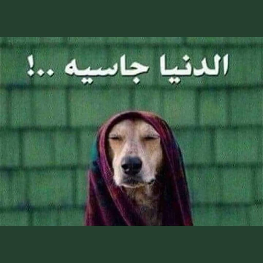 zibfg6's tweet photo. #التافهه_هند_القحطاني https://t.co/KGxLpNkfjG