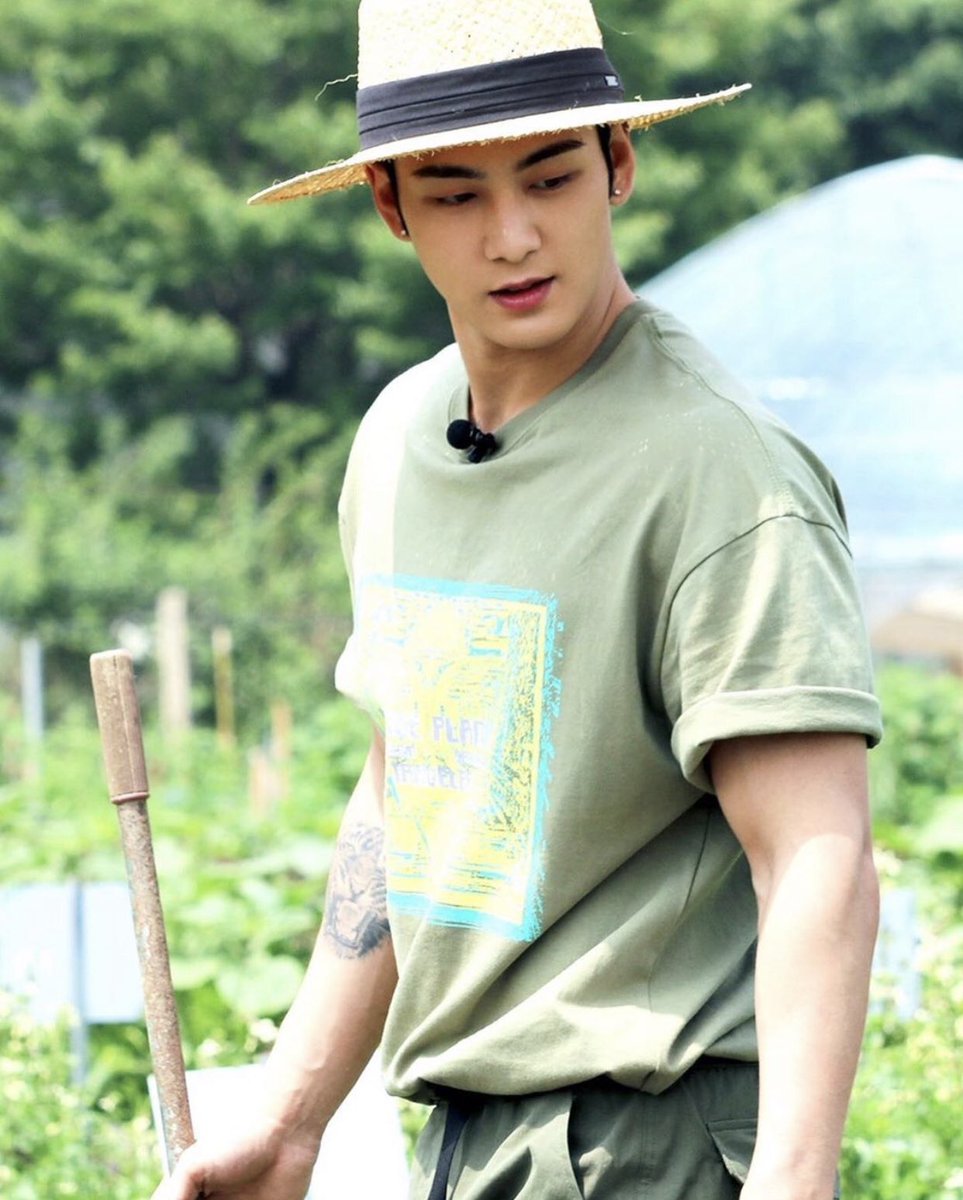 island man 🍊𓃮 tweet media