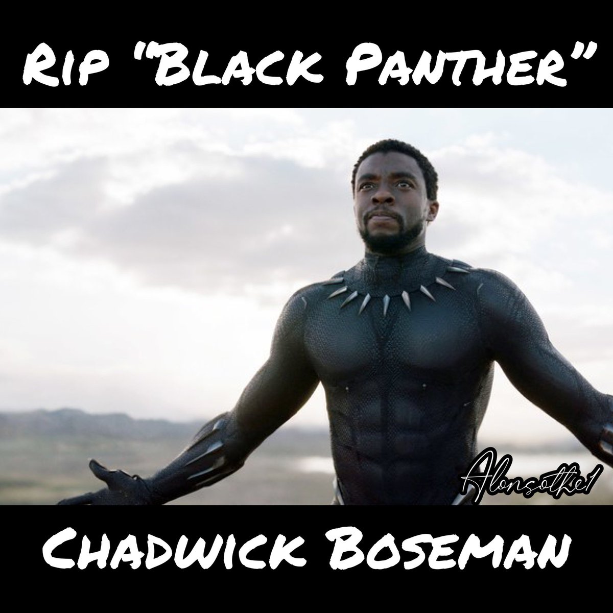 RIP CHADWICK BOSEMAN aka “Black Panther”
#ripchadwickboseman #RIPBlackPanther #ripChadwick #rip #chadwickboseman #thisyearsucks