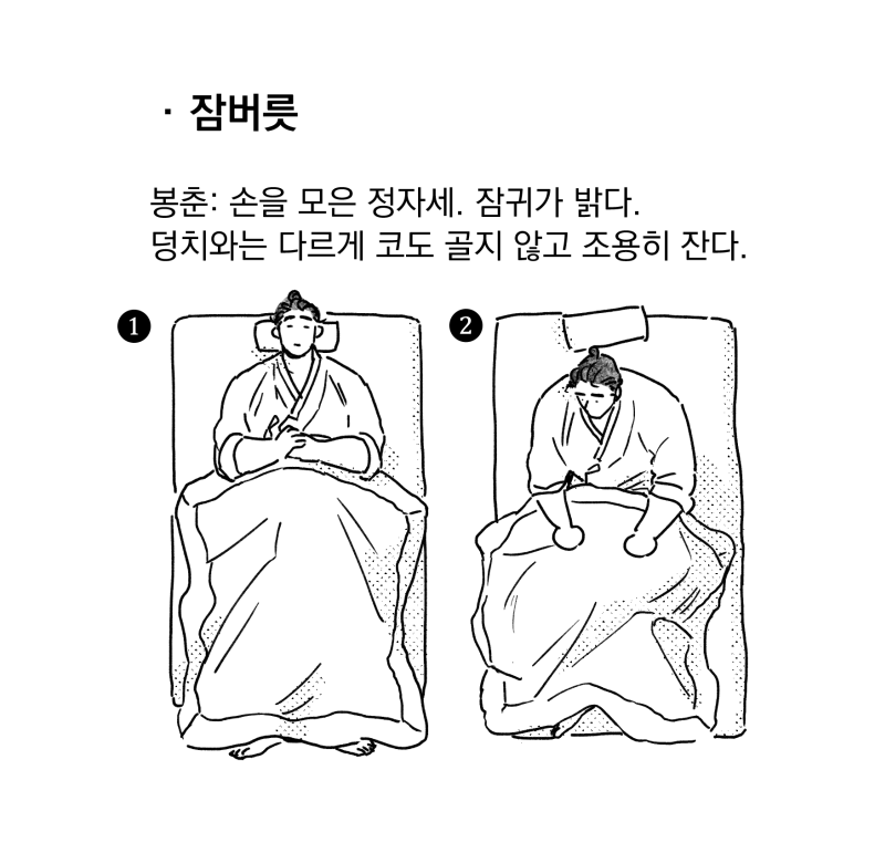 봉춘/순갑/필견의 자는 모습도 간단하게 그려봤어요? 캐릭터 tmi를 더 읽고 싶으시다면 설정특집편으로~!➡️https://t.co/cVcEBp50Q1 