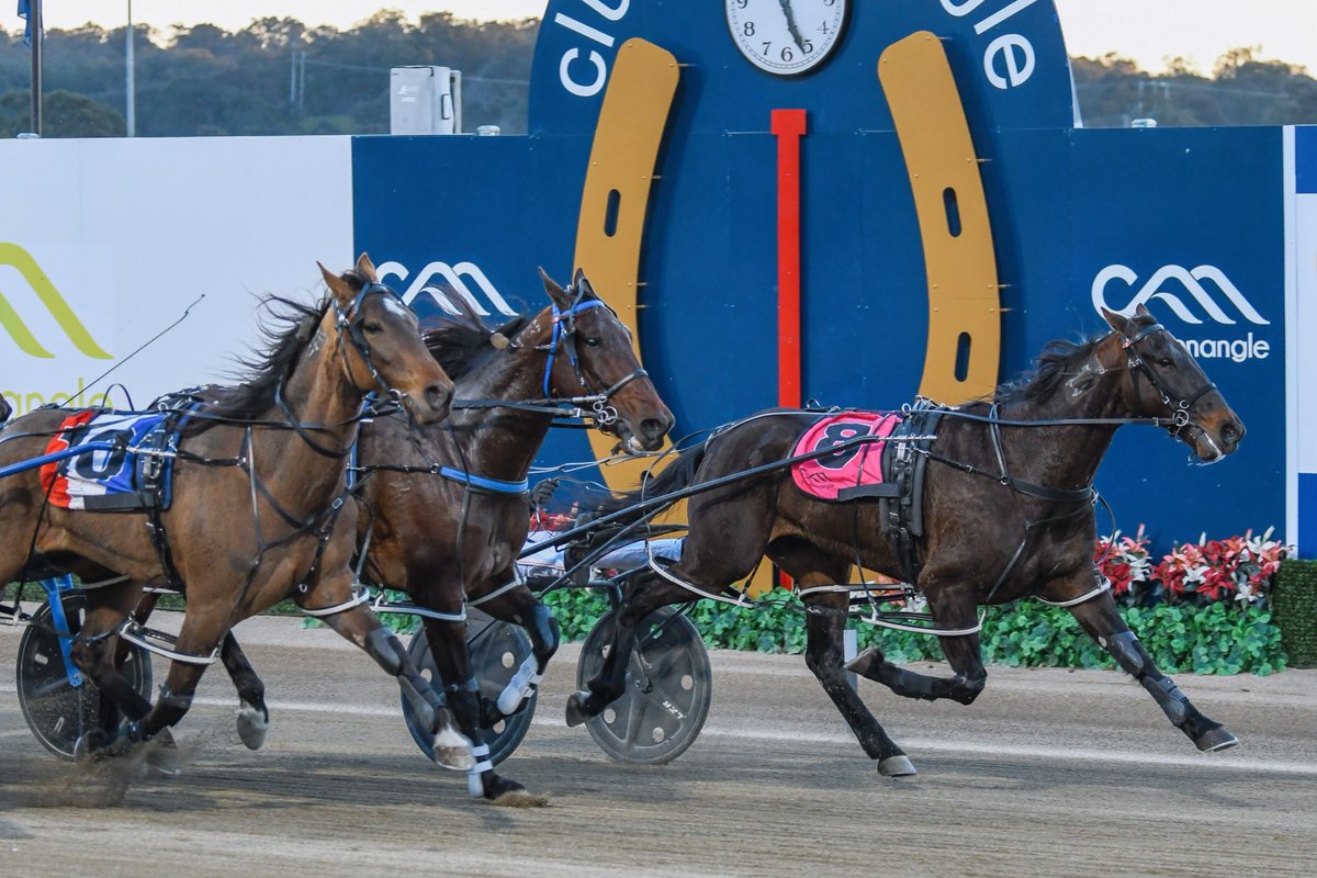 𝐀𝐥𝐥𝐢𝐞𝐝 𝐄𝐱𝐩𝐫𝐞𝐬𝐬 𝐏𝐚𝐜𝐞 - alliedexpress.com.au

🐴 MOTU GATECRASHER
𝐓𝐑𝐀𝐈𝐍𝐄𝐑: Craig Cross
𝐃𝐑𝐈𝐕𝐄𝐑: Jack Callaghan
📹 youtube.com/watch?v=uyYHc0…