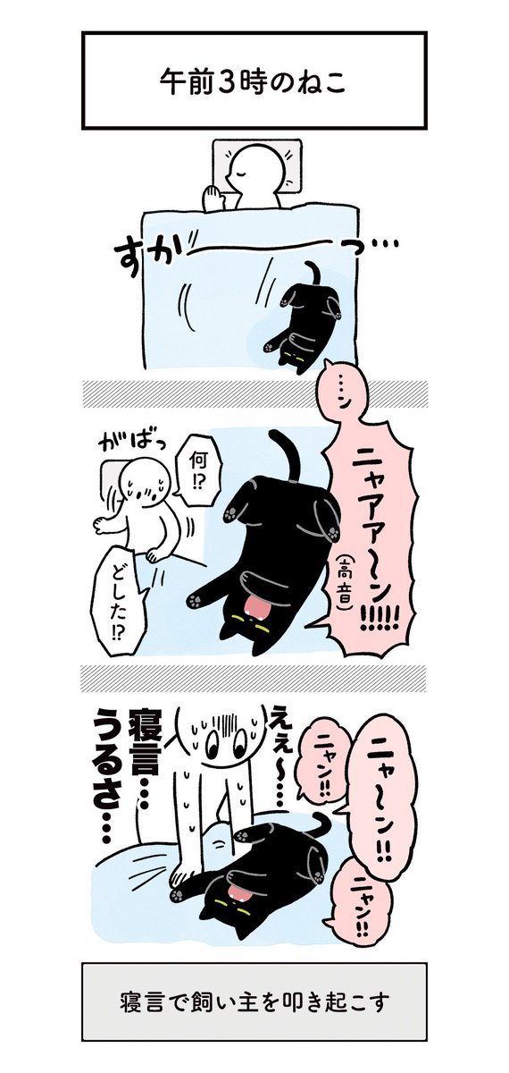 ねこと一緒に寝るの、おもしろくて最高だな〜〜!!!っていう絵日記 #ろんの絵日記 