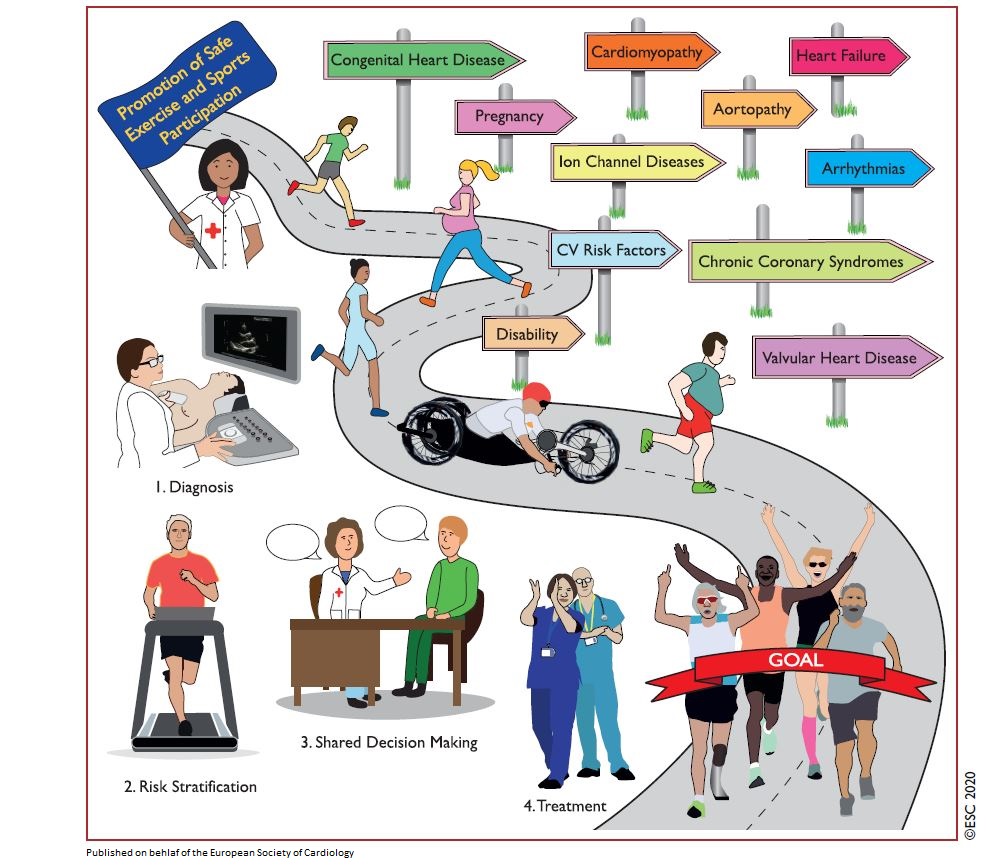 Just released: 2020 ESC Guidelines on #SportCardiology and #Exercise in Patients with Cardiovascular Disease! bit.ly/3b4tqau

#ESCCongress #ESCGuidelines #Cardiotwitter #MedTwitter #cardiovasculardisease