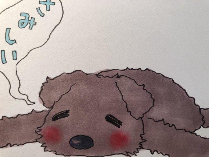 リクエストをいただいたので、
LINEスタンプ「夜廻り猫6」にいれちゃいます。
#夜廻り猫 