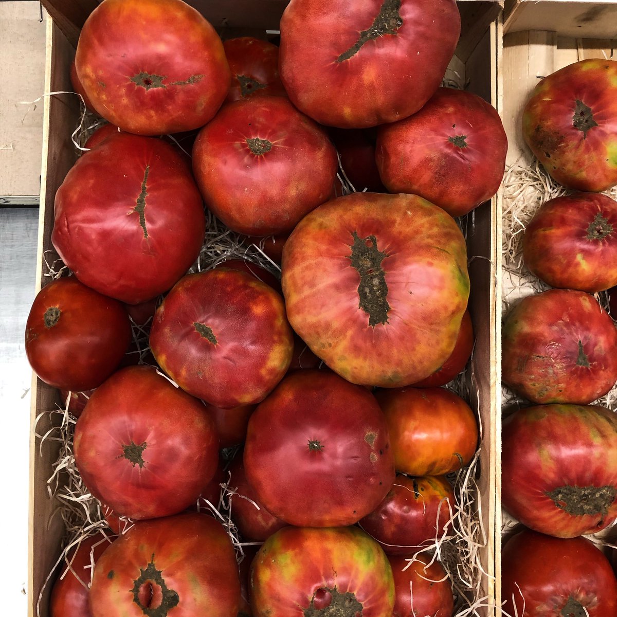 MercadoAsoc's tweet photo. Y que decir de los tomates de #Lietor, recién cogidos de la mata y para el #mercadoVillacerrada #parking #servicioDomicilio #comerciotradicional #mercadosmunicipales https://t.co/0RY5Coa6Gr