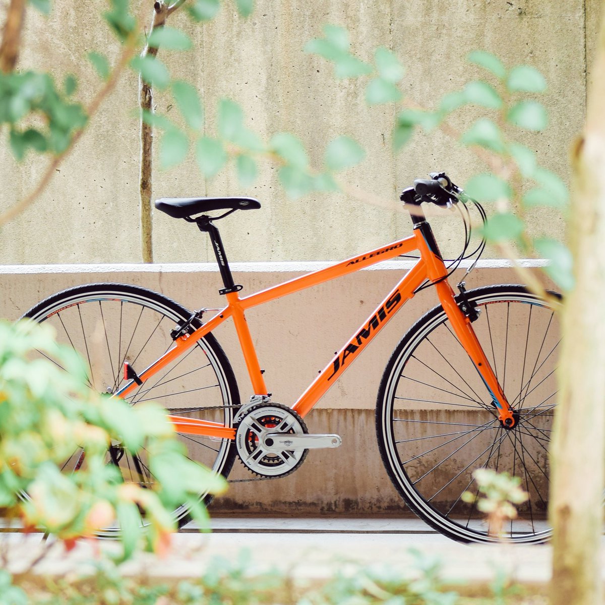 サイクルショップ Rabbit On Twitter こんなに暑い日は木陰で涼んで水分補給ですね Jamis Allegro Sport 67 900 Jamis Jamisbikes ジェイミス Allegrosport アレグロ クロスバイク 通勤スタイル 通学自転車 ポタリング 街乗り 宝塚市 伊丹市 西宮市