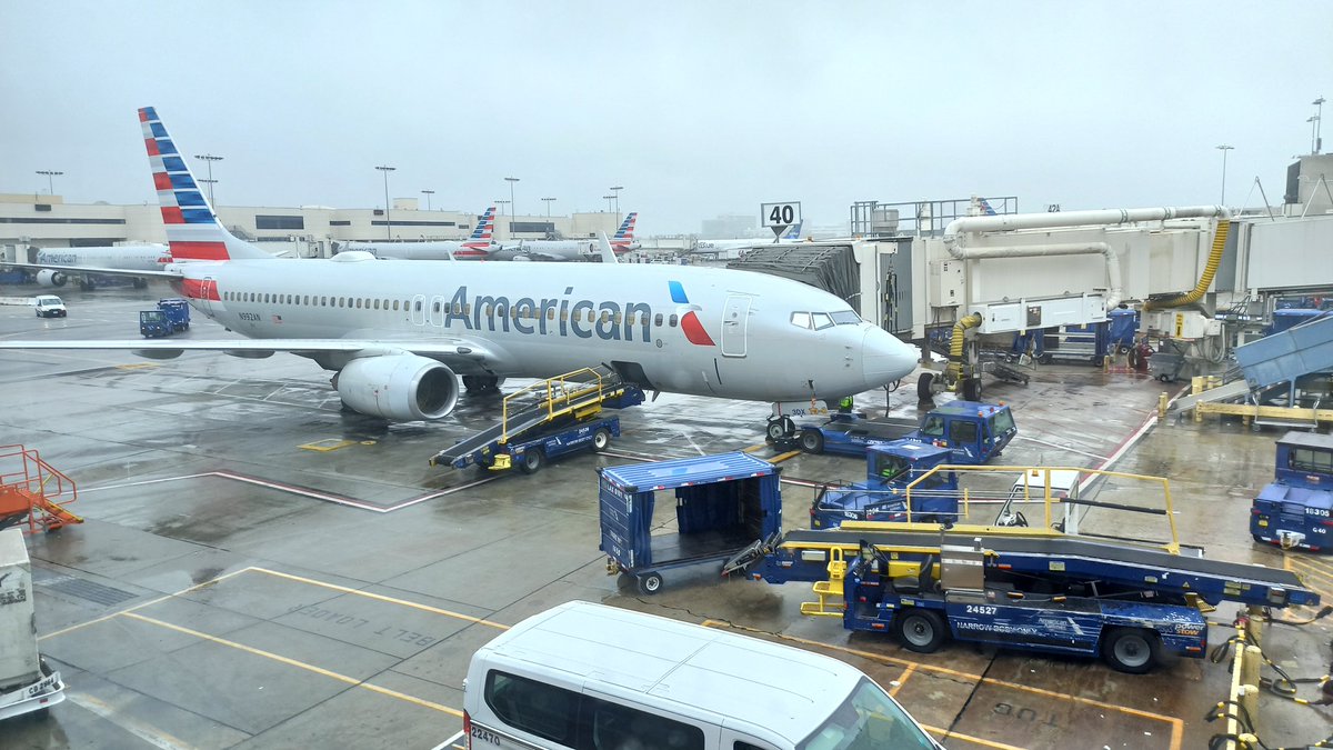 American Airlines - Boeing 737-800