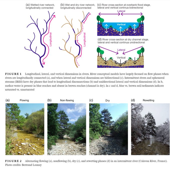 Thibault Datry @tdatry.bsky.social (@tdatry) on Twitter photo Congratulations <a href="/smirescost/">SMIRES COST Action</a>
and @dryriversRCN
: current river concepts poorly accommodate intermittent rivers and ephemeral streams, although they dominate our landscapes. Towards a paradigm shift in river sciences?
onlinelibrary.wiley.com/doi/10.1002/wa… Congratulations <a href="/smirescost/">SMIRES COST Action</a>
and @dryriversRCN
: current river concepts poorly accommodate intermittent rivers and ephemeral streams, although they dominate our landscapes. Towards a paradigm shift in river sciences?
onlinelibrary.wiley.com/doi/10.1002/wa…