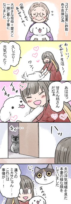 ワンちゃんと住むことになりました…!
猫と犬を一緒に飼う時のアドバイスなど頂ければ嬉しいです…!

https://t.co/wqhH62slqC 