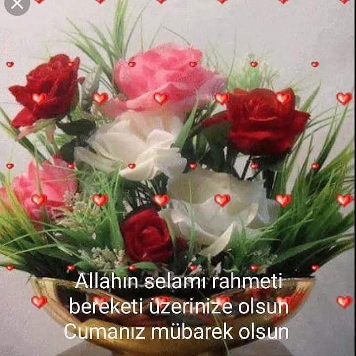 güldal balcı (@gldalbalc1) on Twitter photo 