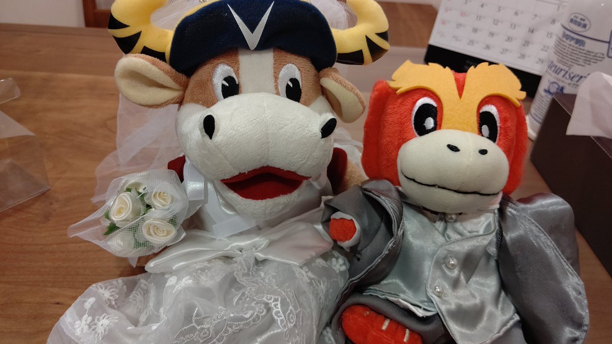 ヒシ◇ヨッシー tweet media