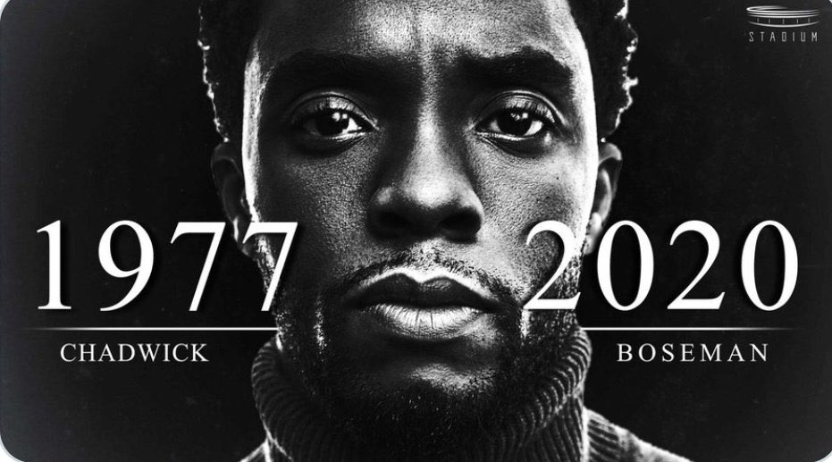 BonieMd's tweet photo. #RestKing RT @benjamindube: Waking up to these news is heart breaking 💔💔🖤....Rest King @chadwickboseman #WakandaForever https://t.co/lKH5ww8v4b