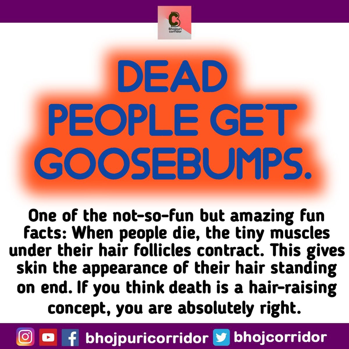 BhojCorridor's tweet photo. Did you know 🤔
Fact of the Day !! 😎

#facts #fact #facts💯 #facts‼️ #factsoflife #factz #factz💯 #weirdfacts #funfact #funfacts #funny #crazyworld #Fact #Facts #FactCheck #FACT #factchecking https://t.co/WzQ7QKgloO