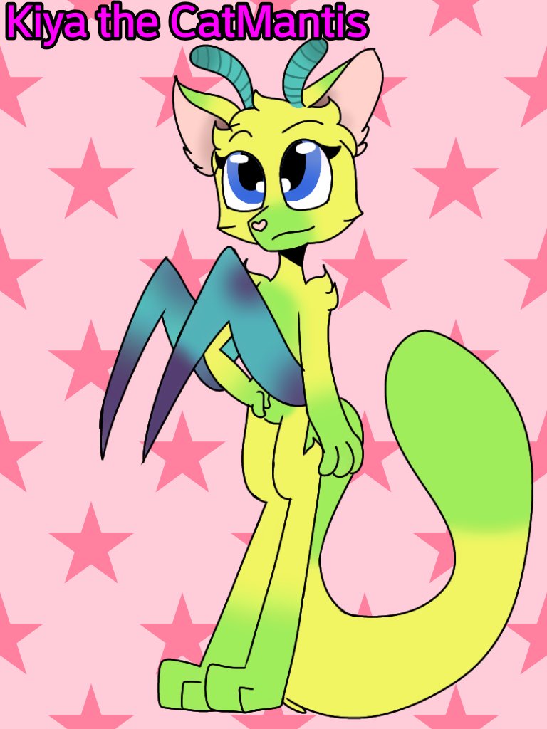 GalaxycatReal's tweet photo. 4 species i made a long time ago you can find information about them on Sketchers United just search up #Bunoodle or #ChihuaRattle or #CatMantis or #Pomeratanuki on there and you'll see it...........i wanna f***ing die.......... https://t.co/8FHjPljbas
