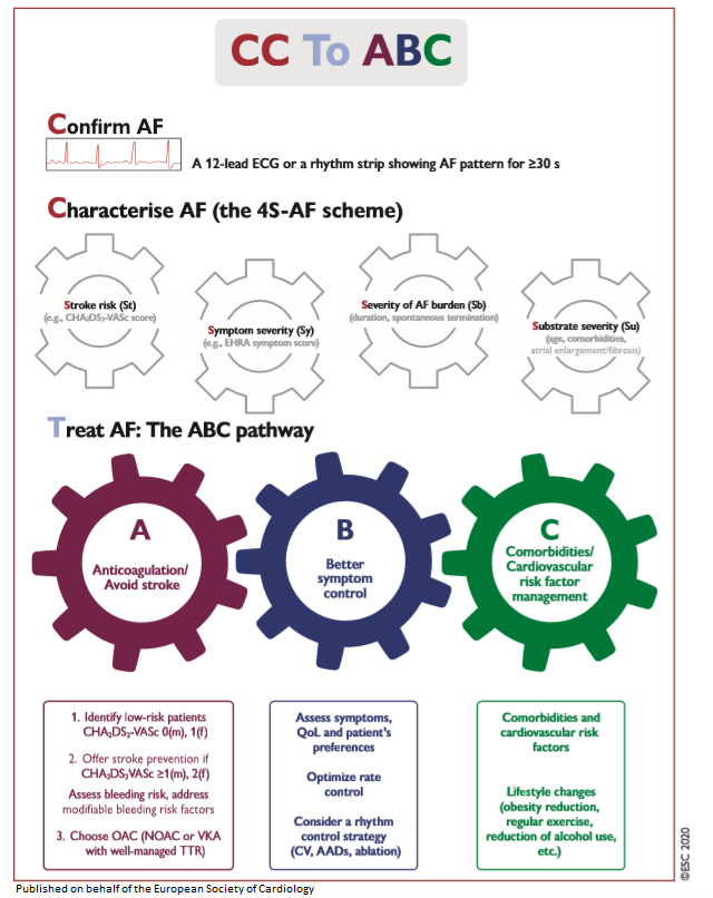 escardio's tweet photo. 2020 ESC Guidelines for the diagnosis and management of #atrialfibrillation just released https://t.co/QKJzpf69Iz

#ESCCongress #afib #cardiotwitter #ESCGuidelines https://t.co/qjepyHBynY