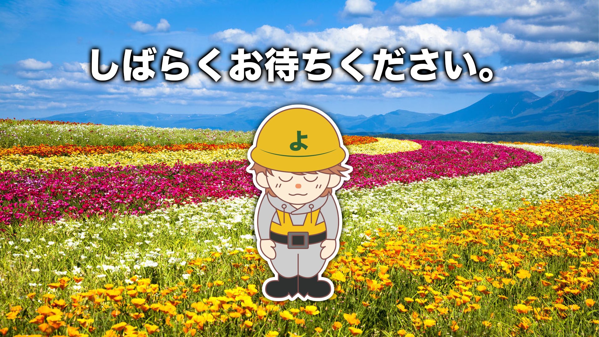 今期はしばらくお待ちください ミモザ 成れ