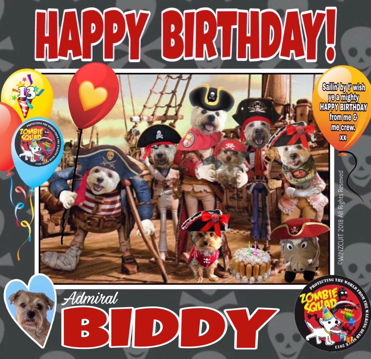 🎂Wishing a very 🎁HAPPY 13th BIRTHDAY🎉 to our pawtastic pal & Head of ZS Training, ADMIRAL BIDDY from Leada Billy & your ZombieSquad pals. We hope your special day is full of tasty treats, belly rubs & cayke, very dear pal. 💜🎂🎁🎉 @LordBiddy @MadSCWT @ZombieSquadHQ #ZSHQ