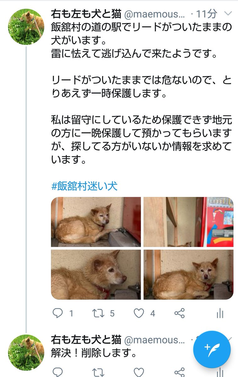 右も左も犬と猫 こちらのツイート削除しました 解決 トンコちゃんと似てると言う事で飼い主さんに連絡してもらったら トンコちゃんだったー 右も左も犬と猫 こちらのツイート削除しました 解決 トンコちゃんと似てると言う事で飼い主さんに連絡してもらったら トンコちゃんだったー