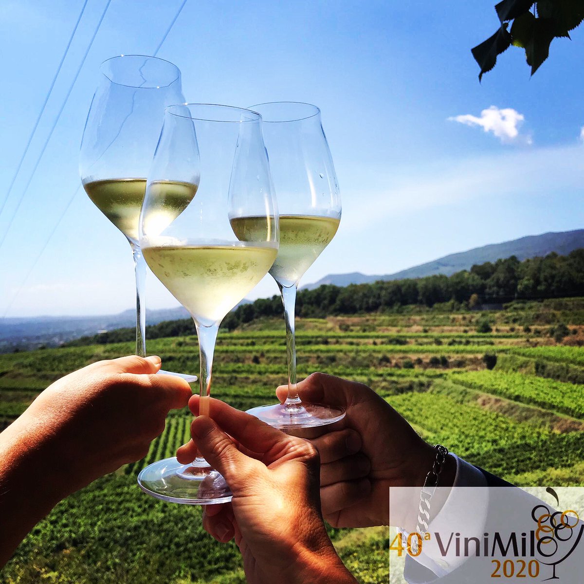 È online il programma completo della #ViniMilo2020. Potete consultarlo, condividerlo e prenotare gli eventi a cui volete partecipare. Quest’anno causa Covid i posti sono limitati. Qui il programma: vinimilo.it