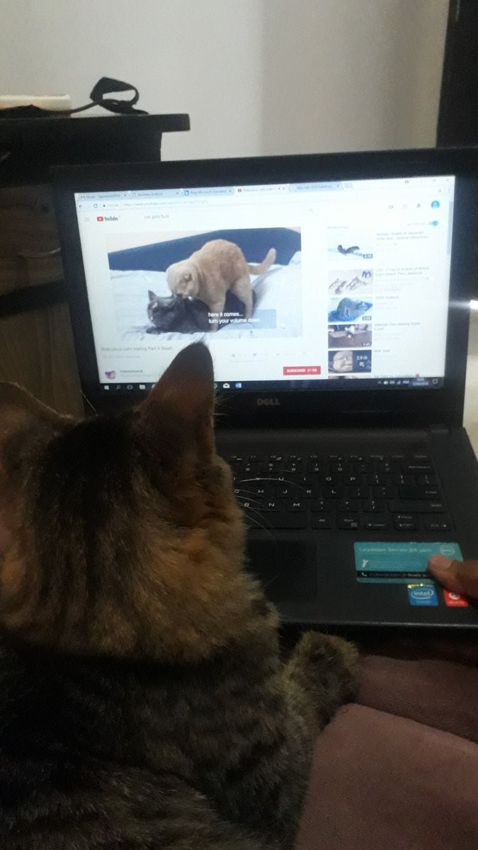 RecehinAjaid's tweet photo. Mblo, malming gini juga? https://t.co/zUhkAjkbSJ