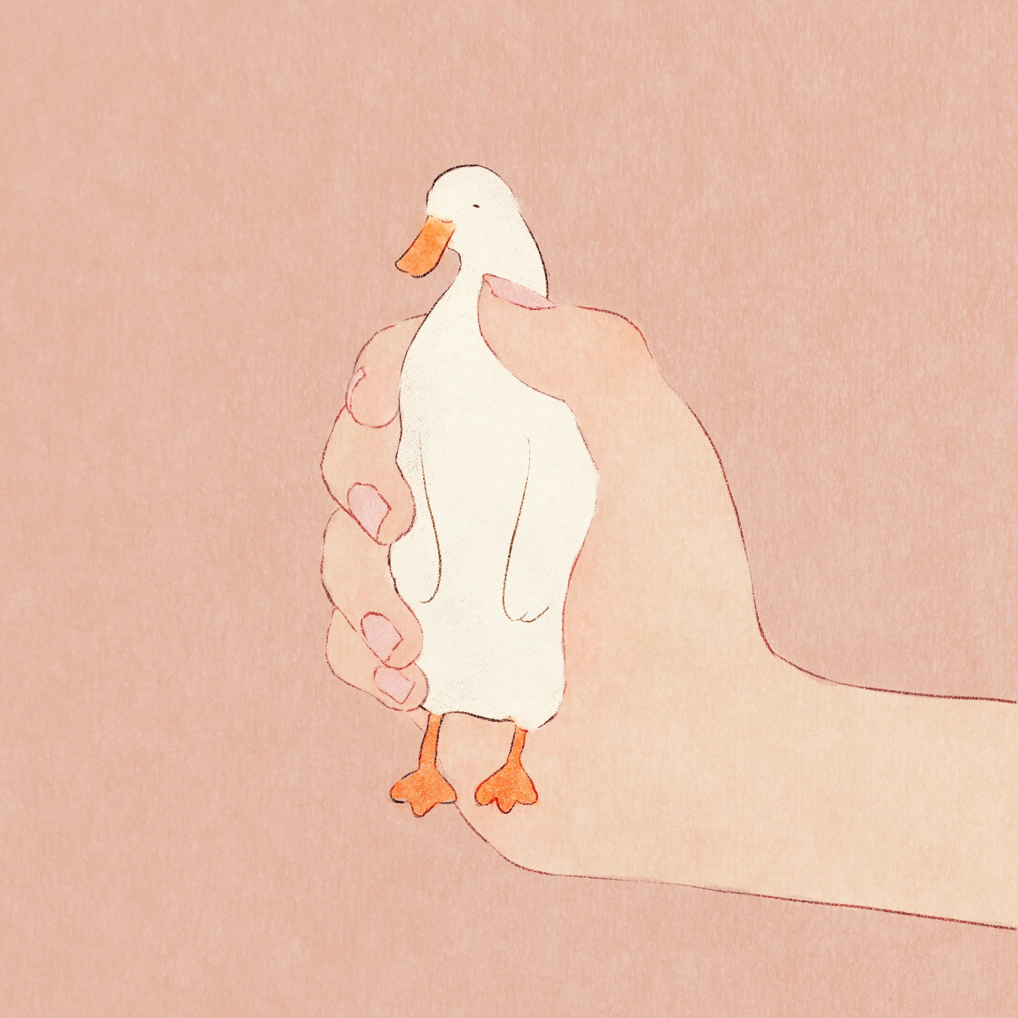 かわはらり 掴まれるアヒル イラスト アヒル 絵 動物 T Co H6agxegdpp Twitter
