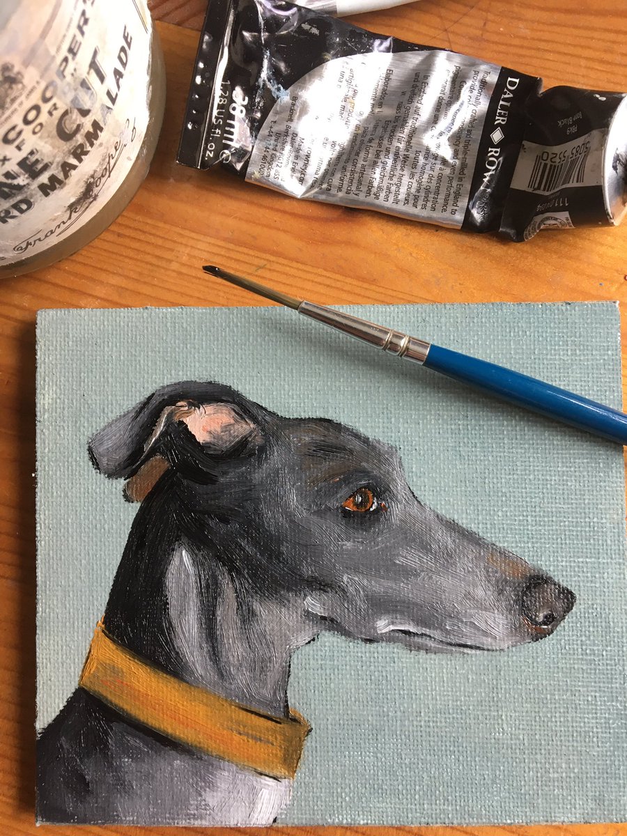 Johnnie 
#LockdownDogs #WIP