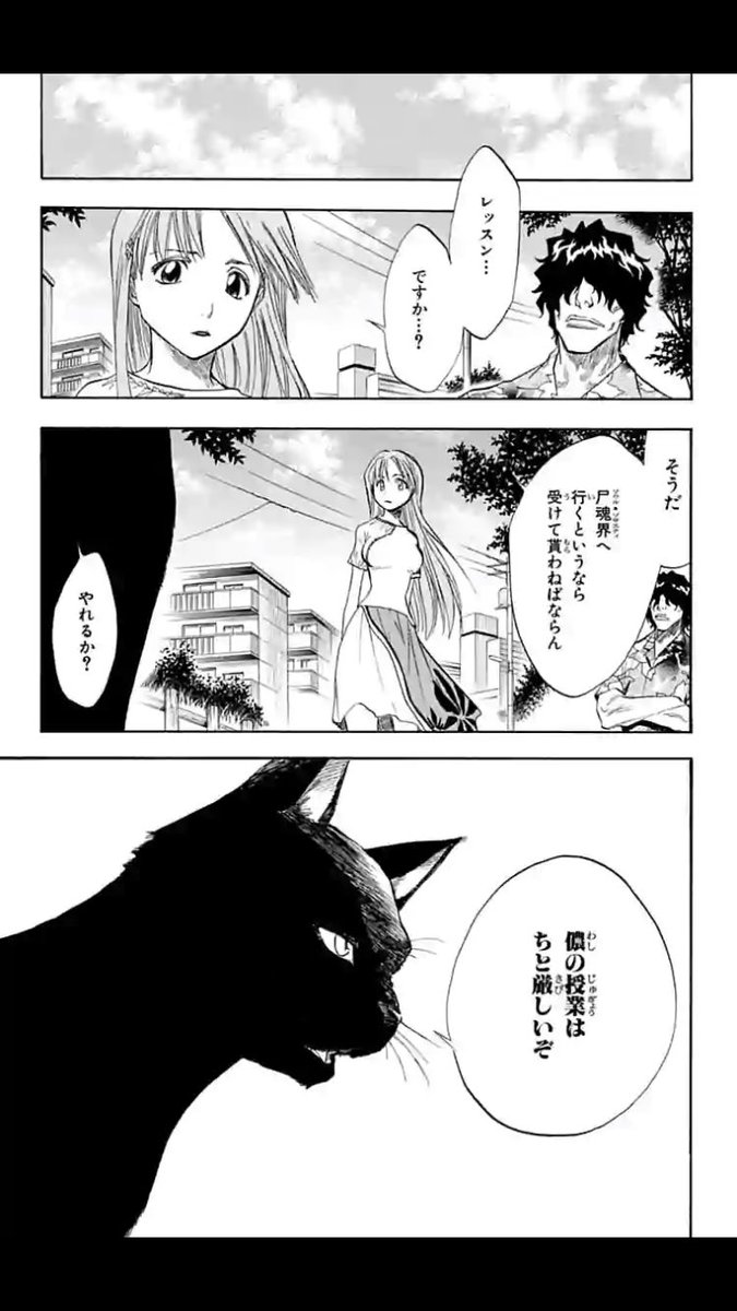 #BLEACH
少年漫画と言えば修行ですよねー。
囚われた仲間を助けに行くのもTHE王道でいいなー! 