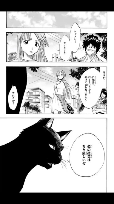 #BLEACH
少年漫画と言えば修行ですよねー。
囚われた仲間を助けに行くのもTHE王道でいいなー! 