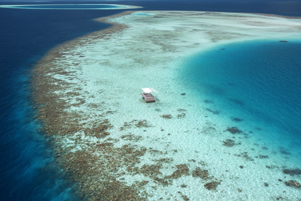 BarosMaldive's tweet photo. A magnificent setting paired with outstanding cuisine – dining on the Piano Deck is a memorable Baros experience.
Read more: https://t.co/6tmULSlf5U
#BarosMaldives #ALegendInMotion https://t.co/RVRDHS9Ucz
