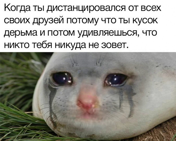so_mad_so_funny's tweet photo. https://t.co/roaVf5SonB