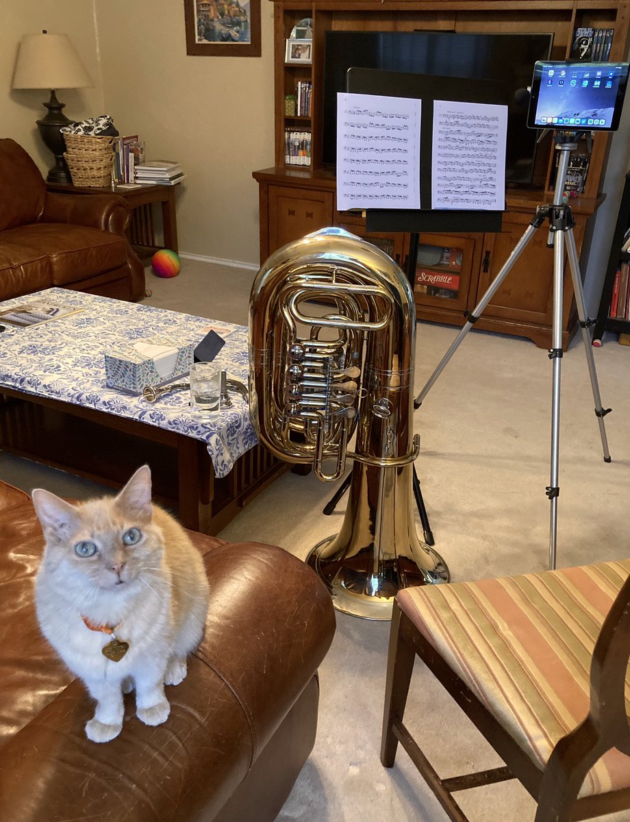 John Morris 🐀 tweet media