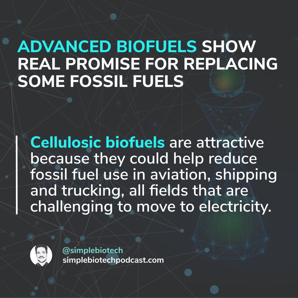 simplebiotech's tweet photo. Advanced #biofuels show real promise for replacing some #fossilfuels

#discovery #biotech #research #biology #biotechnology #sciencepodcast #scientificresearch #biofuel #biodiesel #renewableenergy #carbonemissions #pollution #renewables #goinggreen  #organic #carbonnegative https://t.co/DM6fqw1vhx