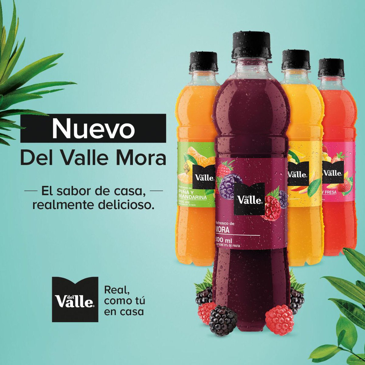 AlexaMoraNi's tweet photo. Llego  #Mora EL #Jugo QUE ESPERABAMOS... https://t.co/cmuQq5rFVb
