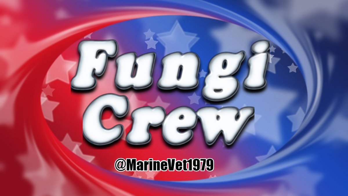 MarineVet1979's tweet photo. @MrFungi_Q @ImTheRealGunny @JamesJtgerard Thank you boss and everyone 
#bestcrewontwitter https://t.co/Ks8GWzCT3j