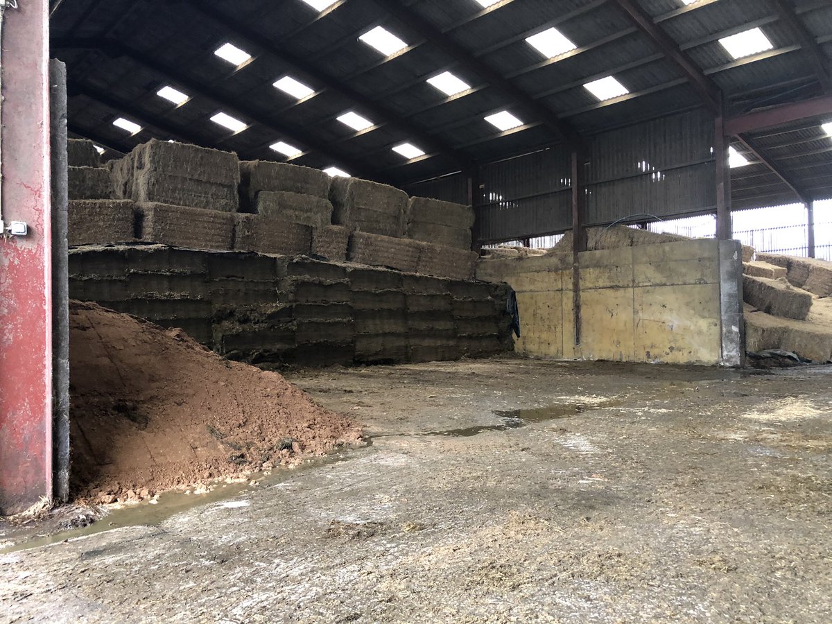 First day on my placement yesterday &amp; first time on a dairy farm. Good 12 hour shift to kick it all off along with dehorning some calf’s 😊🐄 #ukfarming #dairyfarm #belgiumblue #dehorning #placement #experience