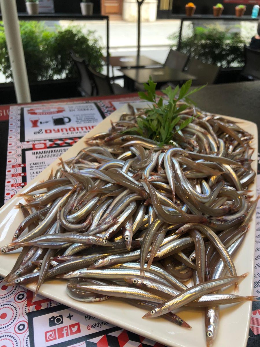 ElDynamicBar's tweet photo. Aquest cap de setmana #sonsos frescos ♥️ T’esperem! #peixfresc #dynamicfigueres #eldynamicbar #figueres https://t.co/qEt1EE0HeR