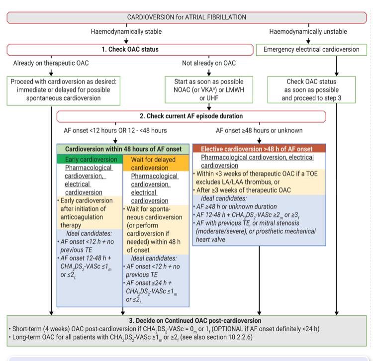 Dominik Linz (@dominik_linz) on Twitter photo Interesting option for hemodynamically stable patients with <48h #AFib presenting at the emergency department:
Delay #ECV to allow the #AF episode to stop spontaneously
#ESCCongress <a href="/DrAfzalSohaib/">Afzal Sohaib</a> <a href="/DRTomlinsonEP/">David R Tomlinson 🇺🇦💙</a> <a href="/majazayeri/">Ali Jazayeri MD</a> <a href="/nmsdegroot/">Natasja de Groot</a> <a href="/Moscoso_Costa/">Francisco M. Costa</a> <a href="/drjohnm/">John Mandrola, MD</a> <a href="/rbcasado/">Ruben Casado Arroyo</a> <a href="/escardio/">European Society of Cardiology</a> Interesting option for hemodynamically stable patients with <48h #AFib presenting at the emergency department:
Delay #ECV to allow the #AF episode to stop spontaneously
#ESCCongress <a href="/DrAfzalSohaib/">Afzal Sohaib</a> <a href="/DRTomlinsonEP/">David R Tomlinson 🇺🇦💙</a> <a href="/majazayeri/">Ali Jazayeri MD</a> <a href="/nmsdegroot/">Natasja de Groot</a> <a href="/Moscoso_Costa/">Francisco M. Costa</a> <a href="/drjohnm/">John Mandrola, MD</a> <a href="/rbcasado/">Ruben Casado Arroyo</a> <a href="/escardio/">European Society of Cardiology</a>