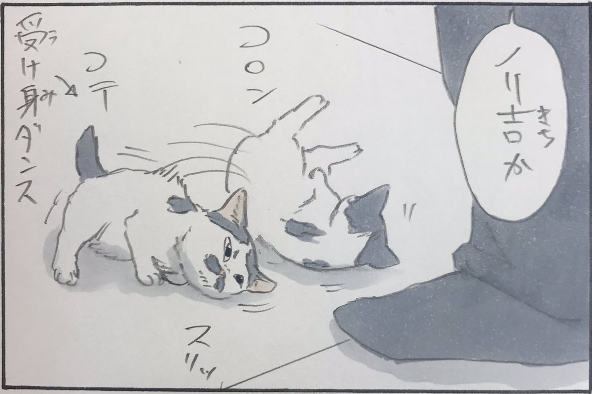 『猫使い』 