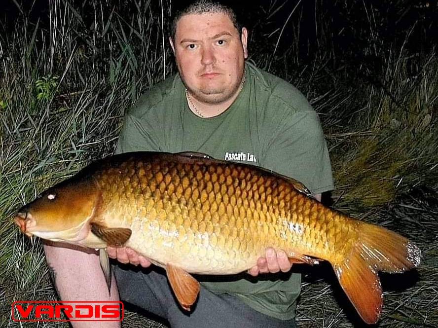 VardisTackle's tweet photo. Promo team member Gary Reddecliffe recently landed this wonderfuly clean 26lb 7oz common &amp; potentialy the biggest fish in the lake!

A ronnie rig with a vardis flurocarbon boom and the New V-T Fish boilie did the job. 

#VardisTackle #NoNonsense #VardisBait #VTFish https://t.co/Yz5PU8vae7