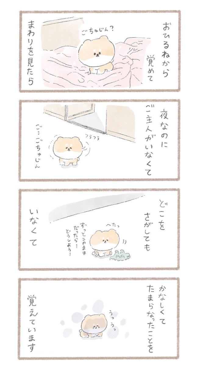 こいぬのころ
#こんにちはいぬ 