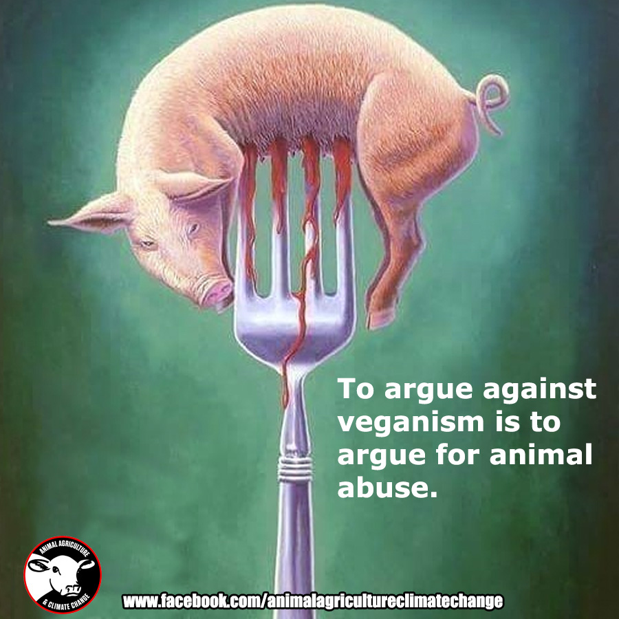 MeatFree Plate on Twitter "Many people don't realise (or choose to