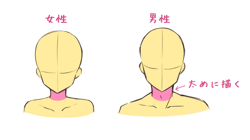 いちあっぷ By Mugenup クリエイティブ制作会社 首周りの 胸鎖乳突筋 僧帽筋 による凹凸を意識することで男性らしい首を描くことができます 男主人公を描こう 男性キャラクターの描き方 首の描き方編 いちあっぷ T Co C5hibwg6lx