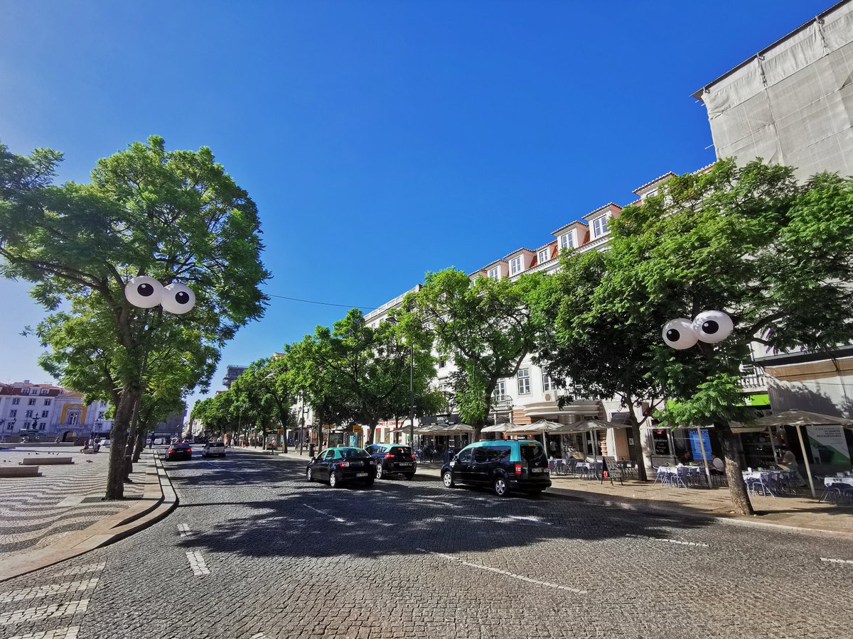 AgendaLisboa's tweet photo. Até ao final de setembro, dez árvores da cidade vão andar de olho em nós. A instalação #OutroOlhar, concebida pelos britânicos #FilthyLuker & #PedroEstrellas, pode ser vista entre o Saldanha e o Cais do Sodré
https://t.co/xVqj0JGWHz
@CulturaemLisboa #lisboanarua https://t.co/KowL6SYLpQ