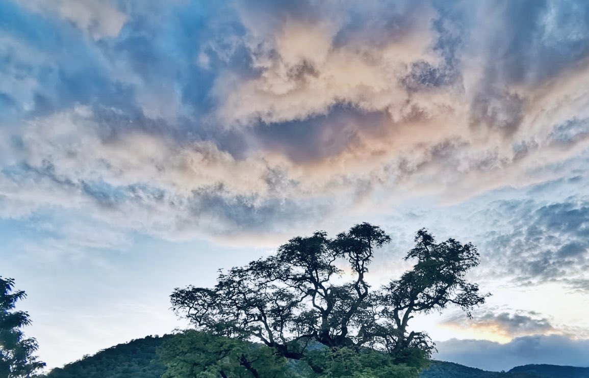 #صباح_الخير 

لَا تَدْرِي لَعَلَّ اللَّهَ يُحْدِثُ بَعْدَ ذَٰلِكَ أَمْرًا